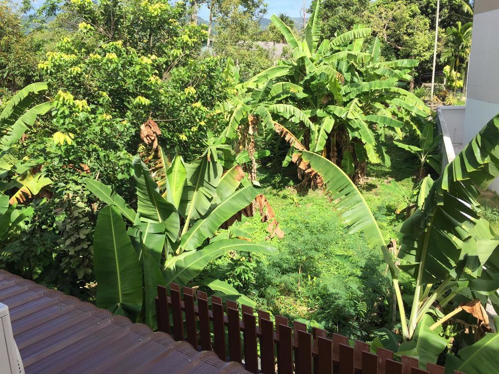 Samui Paca Place Mae Nam Beach Eksteriør bilde